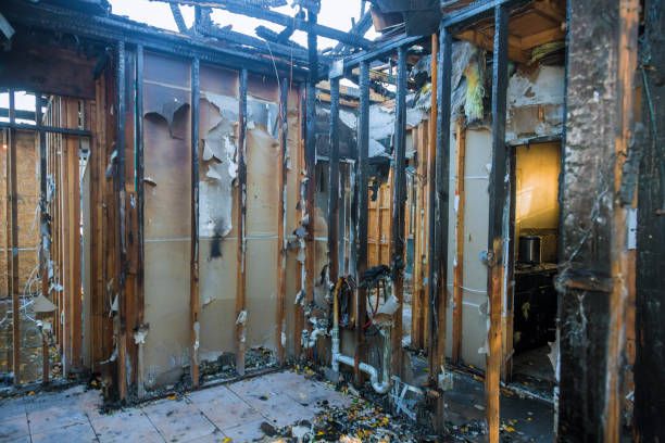 Professional Soot Cleanup technician working in Somerville, TX